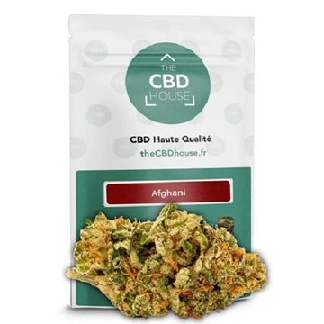 Afghani 3g - Imagen 1