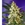 Auto Fast Bud #2 5+2 - Imagen 1