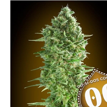 Do-Si-Dos Cookies 25 ud. - Imagen 1