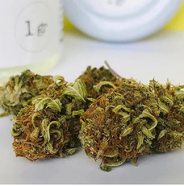 Lemon Soul 5g - Imagen 2