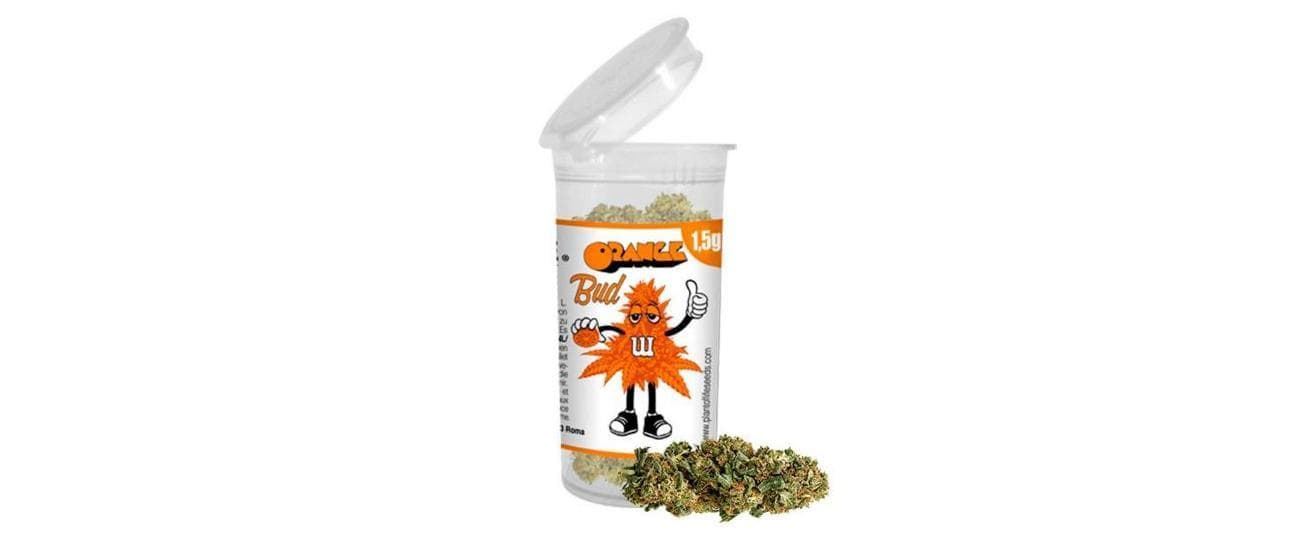 Orange Bud 1,5 g - Imagen 1