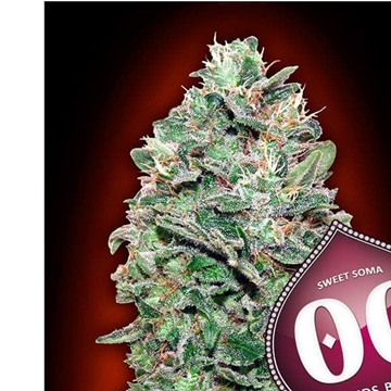 Sweet Soma 5 ud. - Imagen 1