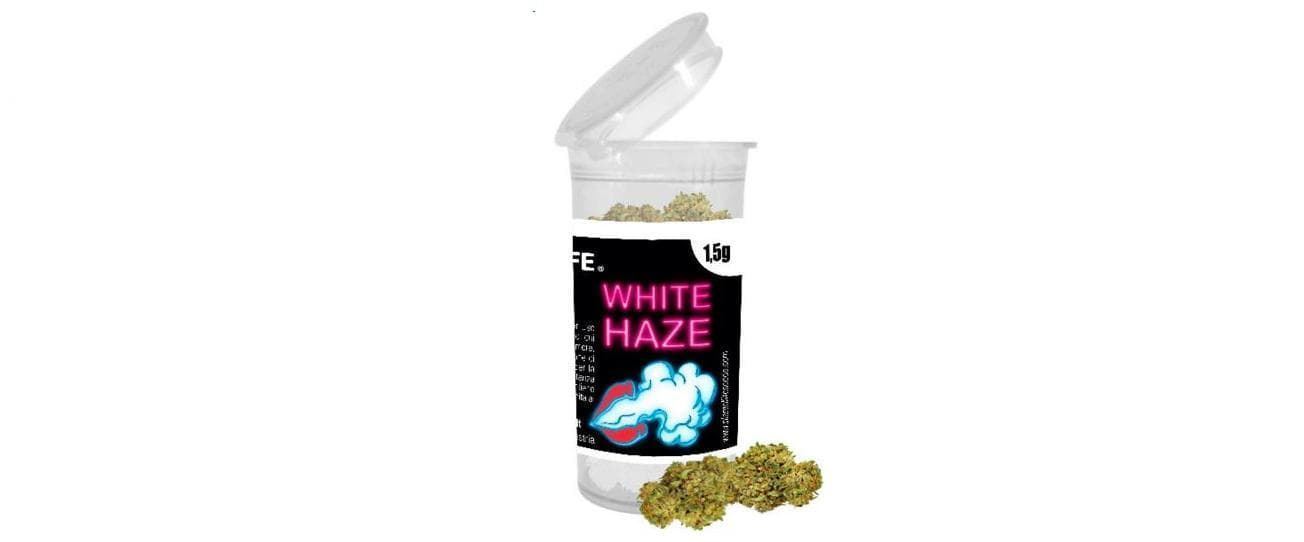 White Haze 1,5 g - Imagen 1